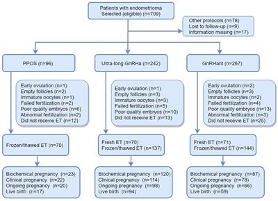 Progestin-Primed Ovarian Stimulation Protocol for Patients With Endometrioma